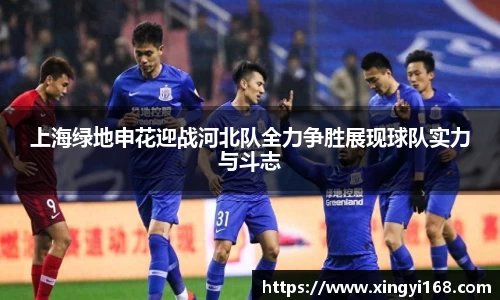 上海绿地申花迎战河北队全力争胜展现球队实力与斗志