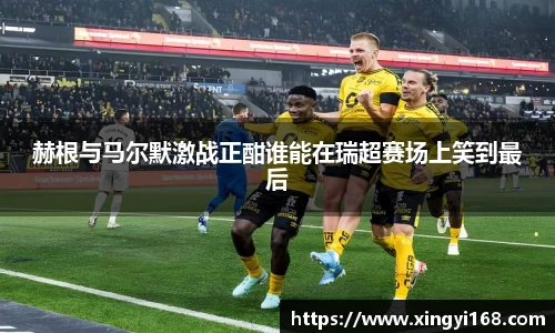 赫根与马尔默激战正酣谁能在瑞超赛场上笑到最后